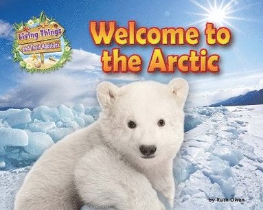 bokomslag Welcome to the Arctic