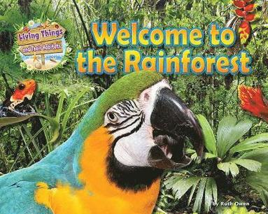 bokomslag Welcome to the Rainforest