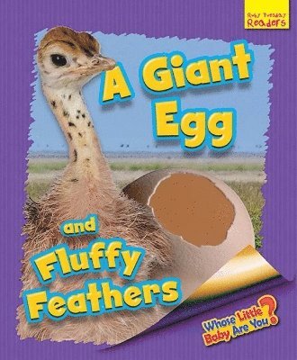 Whose Little Baby Are You? A Giant Egg and Fluffy Feathers 1