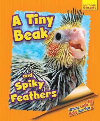 Whose Little Baby Are You? A Tiny Beak and Spiky Feathers 1