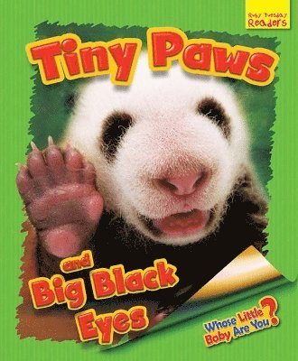 Whose Little Baby Are You? Tiny Paws and Big Black Eyes 1