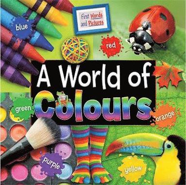 bokomslag A World of Colours