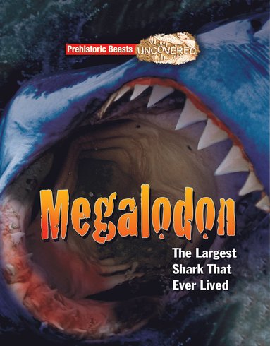 bokomslag Megalodon