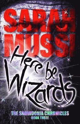 Here be Wizards 1