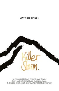 bokomslag Killer Storm
