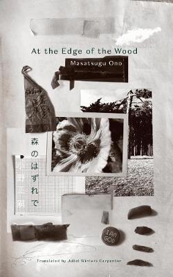 Masatsugu Ono - Keshiki 6, Häftad