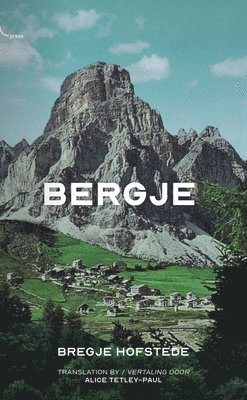 bokomslag Bergje