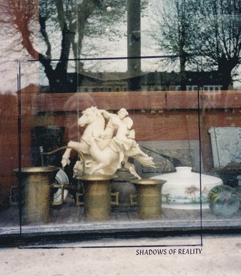 W. G. Sebald, Clive Scott, Nick Warr, Nathan Hamilton - Shadows of Reality, Häftad