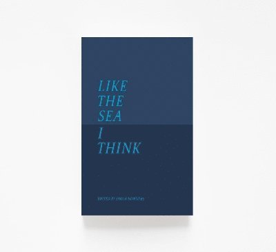 Viv Allen, Roy Ballard, Molly Bernardin, Neil Bousfield, Erin Bradshaw, Bev Broadhead, Tess Carruthers, David Cochrane, Ruthie Collins, Mireia Molina Costa, Jade Cuttle, Janet Ellis, Cathy Erlam, Rose Evison, Jessica D’Alton Goode, Rachel Goodman, Mirabel Greaves, Chloe Hambly, Cate McKay Haynes, Sarah Hudis, Barrie de Lara, Jeni Lawes, Imogen Lea, Patricia Jane Lee, Stephanie Lillie, Angie Maddigan, George Mahood, Pip Mattich, Hillary Mellon, Jane Mills, Lloyd Mills, Jess Morgan, Lindsay Nash, Molly Naylor, Eoghan O’Maolain, Anna Opara, Sebastian Owen, Maria Pavledis, Clare Peed, Jon Platten, Simeon Ralph, Thogdin Ripley, Holly Sandiford, Gaia Shaw, Graham Sillett, James Smart, Robert F.W. Smith, Katie Stockton, Ryan Thacker, Rebecca Tough, Sarah Walker, Elizabeth Lewis Williams, Rachel Wood, Suzanne Woolnough, Sarah Lowndes - Like The Sea I Think, Häftad