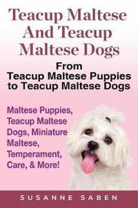 bokomslag Teacup Maltese And Teacup Maltese Dogs