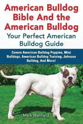 American Bulldog Bible and the American Bulldog 1