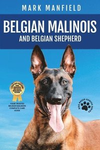 bokomslag Belgian Malinois And Belgian Shepherd