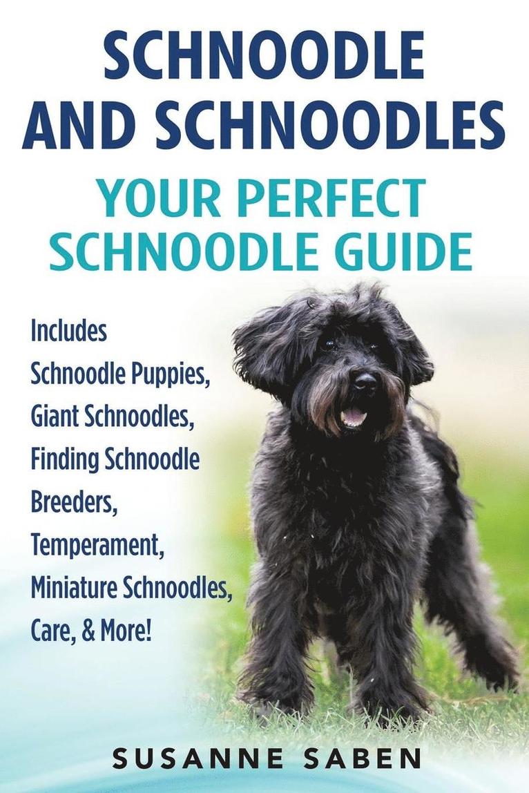 Schnoodle And Schnoodles 1