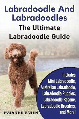 bokomslag Labradoodle And Labradoodles