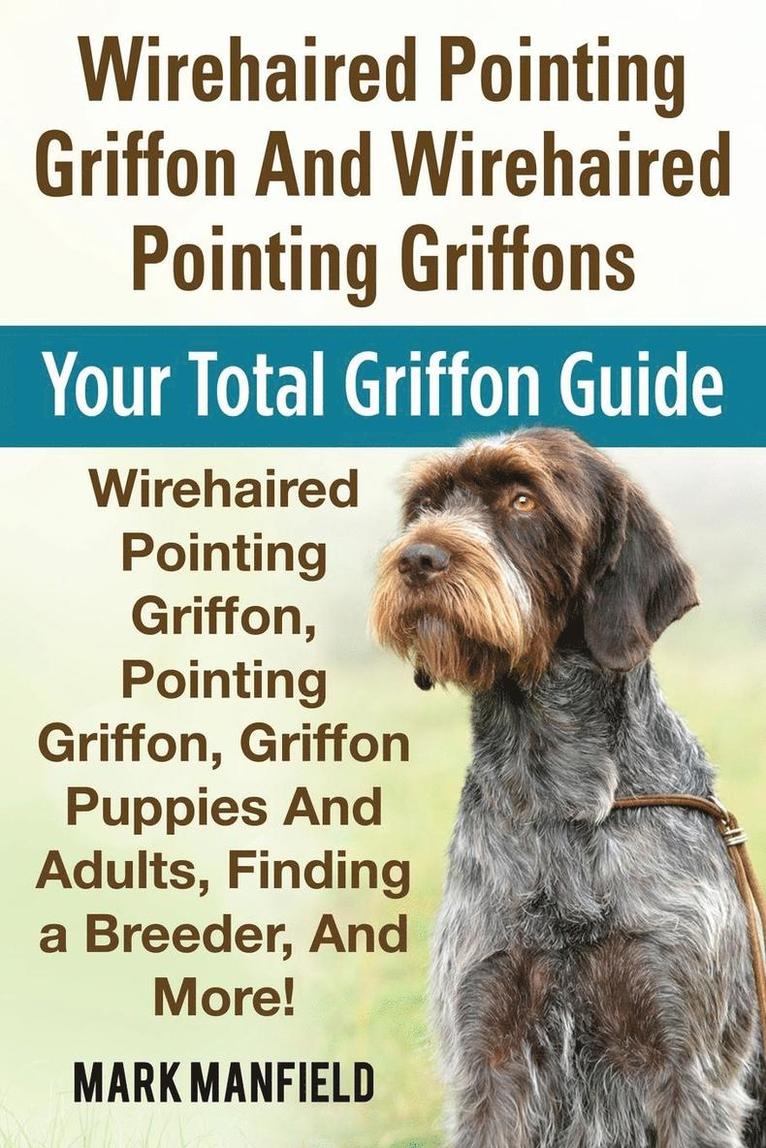 Wirehaired Pointing Griffon And Wirehaired Pointing Griffons 1
