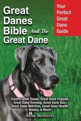 Great Danes Bible And The Great Dane 1