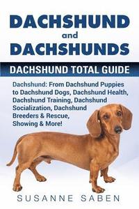 bokomslag Dachshund And Dachshunds