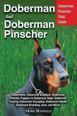 Doberman and Doberman Pinscher 1