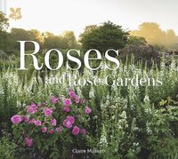 bokomslag Roses and Rose Gardens