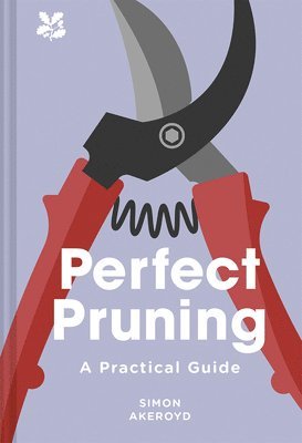 Perfect Pruning 1