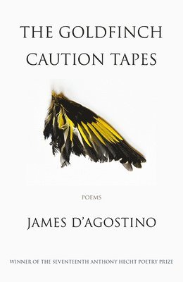 James D'Agostino - Goldfinch Caution Tapes, Häftad