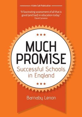 bokomslag Much Promise: Successful Schools in England