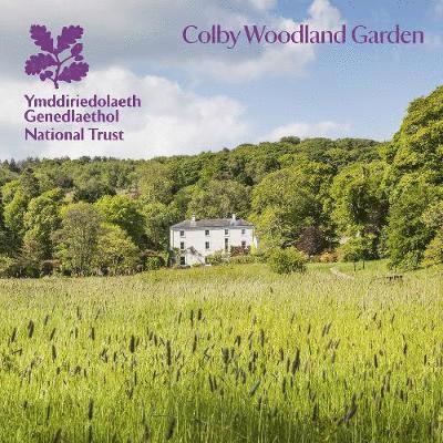 Colby Woodland Garden, Pembrokeshire 1