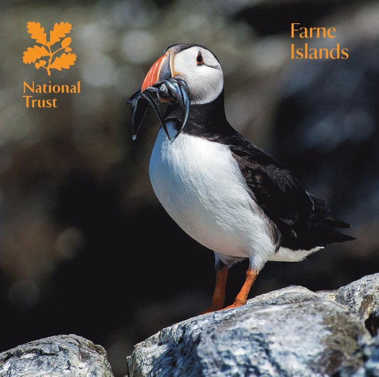John Walton, National Trust Books - Farne Islands, Häftad