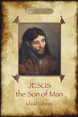 bokomslag Jesus the Son of Man