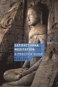 bokomslag Satipatthana Meditation