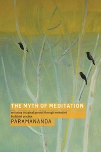 bokomslag Myth of Meditation