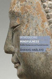 bokomslag Introducing Mindfulness