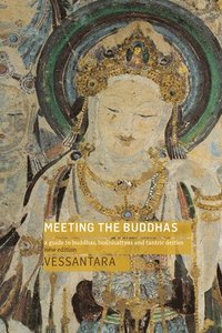 bokomslag Meeting the Buddhas