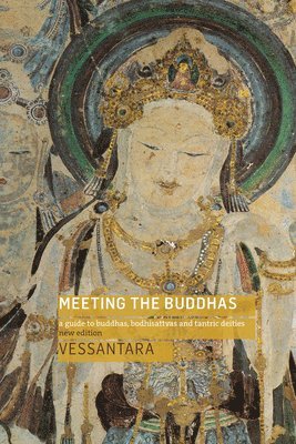 Meeting the Buddhas 1