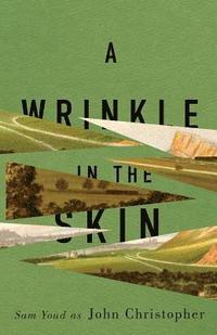 bokomslag Wrinkle in the skin