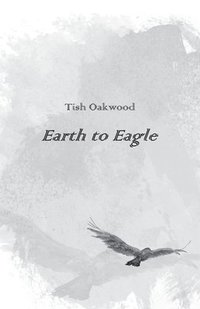 bokomslag Earth to Eagle