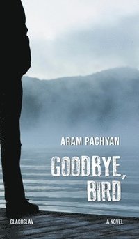 bokomslag Goodbye, Bird