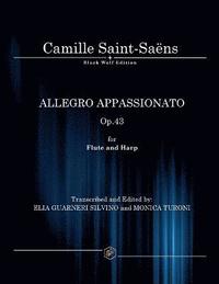 bokomslag Allegro Appassionato Op.43