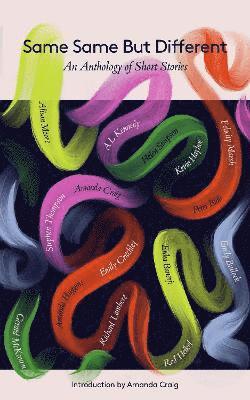Amanda Craig, A.L. Kennedy, Helen Simpson, Paul McVeigh, Alison Moore, Gerard McKeown, Stephen Thompson, Louise Tondeur, D. W. Wilson, Mikka Haugaard - Same Same but Different Short Stories, Inbunden