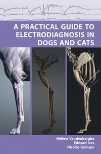 bokomslag Practical Guide to Electrodiagnosis in Dogs and Cats