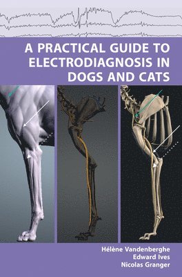 bokomslag Practical Guide to Electrodiagnosis in Dogs and Cats