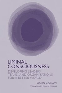 bokomslag Liminal Consciousness