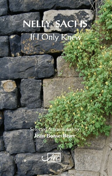 Nellie Sachs - If I Only Knew, Häftad