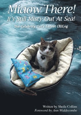 Miaow There! It's Still Misty Out At Sea!