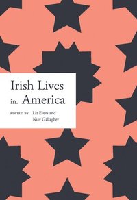 bokomslag Irish lives in America