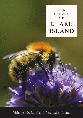 bokomslag New Survey of Clare Island Volume 10: Land and freshwater fauna