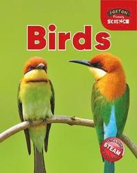 bokomslag Foxton Primary Science: Birds (Key Stage 1 Science)