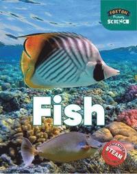 bokomslag Foxton Primary Science: Fish (Key Stage 1 Science)