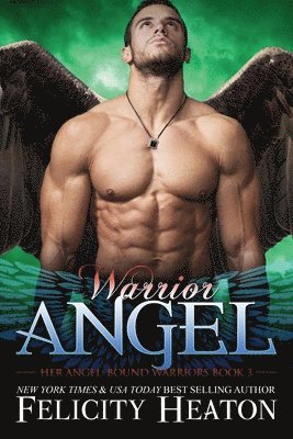 Warrior Angel 1