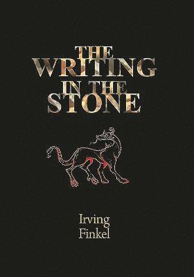 Irving Finkel - Writing in the Stone, Häftad